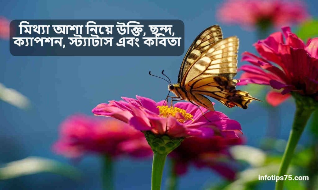 মিথ্যা আশা নিয়ে উক্তি