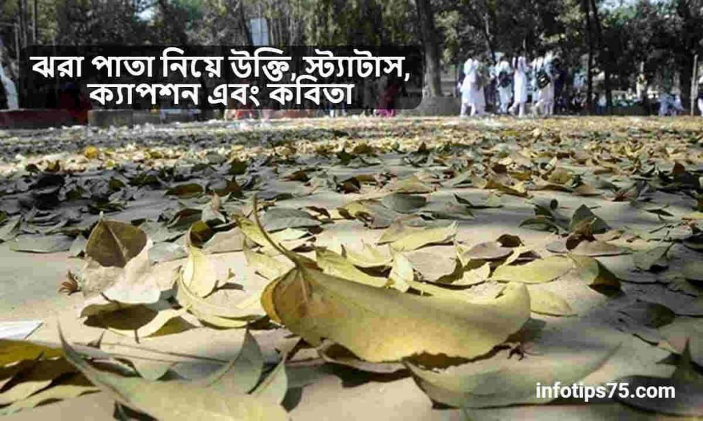 ঝরা পাতা নিয়ে উক্তি