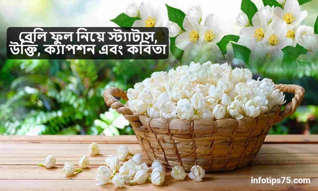 বেলি ফুল নিয়ে স্ট্যাটাস