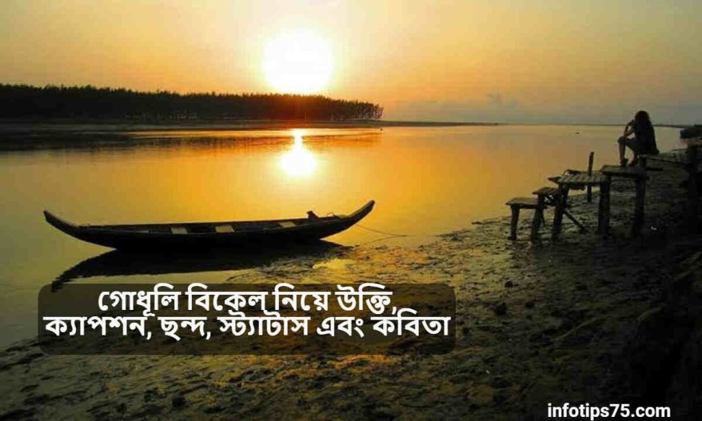 গোধূলি বিকেল নিয়ে উক্তি