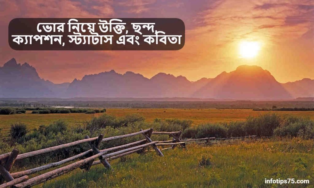 ভোর নিয়ে উক্তি