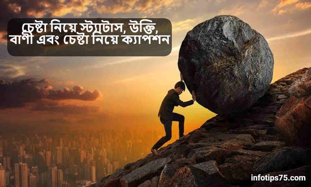 চেষ্টা নিয়ে স্ট্যাটাস