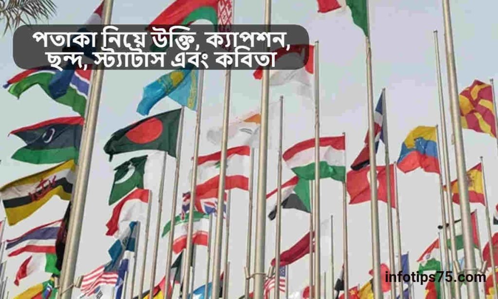 পতাকা নিয়ে উক্তি