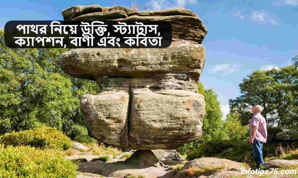 পাথর নিয়ে উক্তি