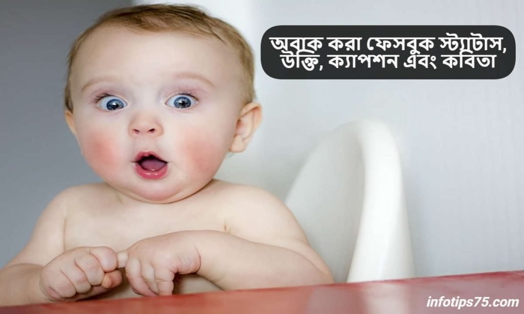 অবাক করা ফেসবুক স্ট্যাটাস