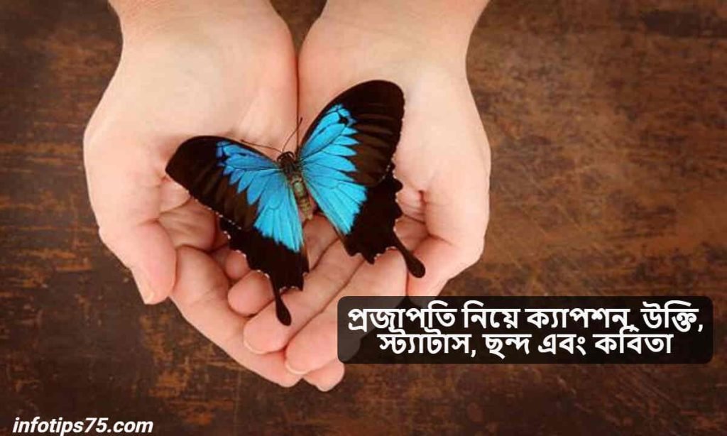 প্রজাপতি নিয়ে ক্যাপশন