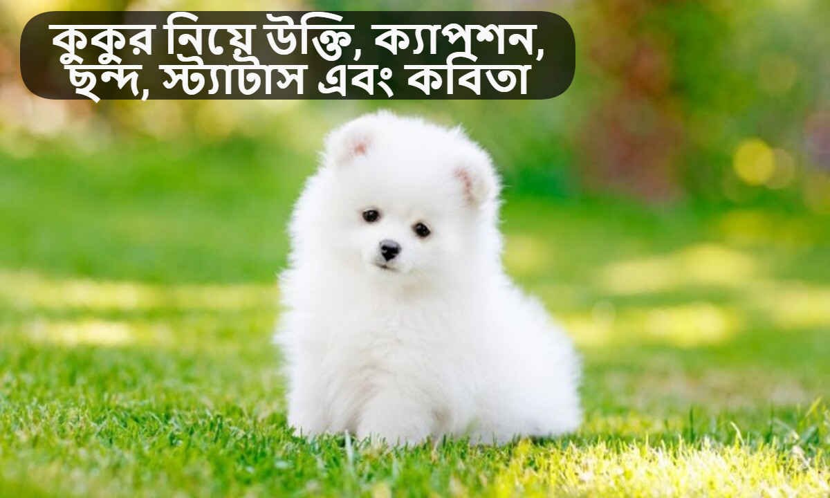 কুকুর নিয়ে উক্তি