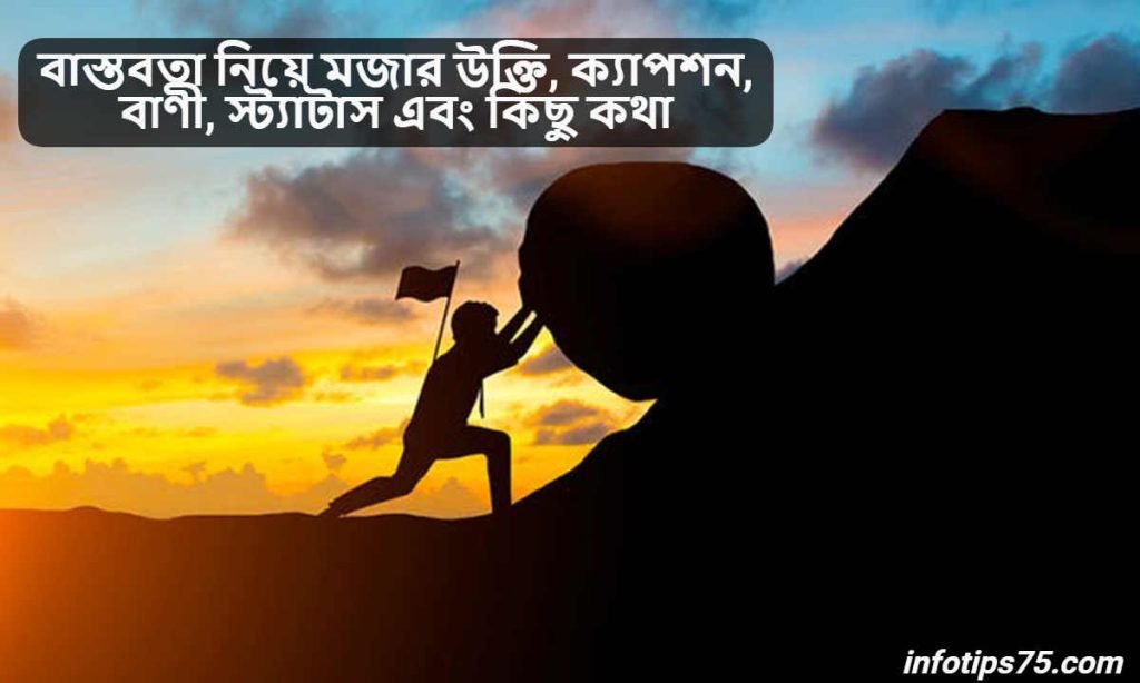 বাস্তবতা নিয়ে মজার উক্তি