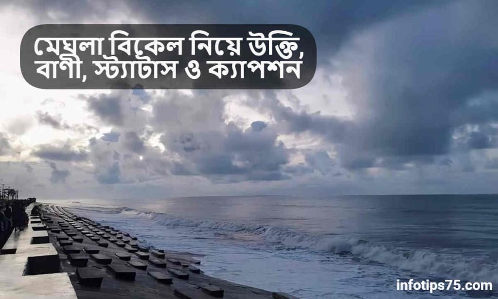 মেঘলা বিকেল নিয়ে উক্তি