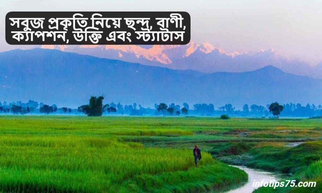 সবুজ প্রকৃতি নিয়ে ছন্দ