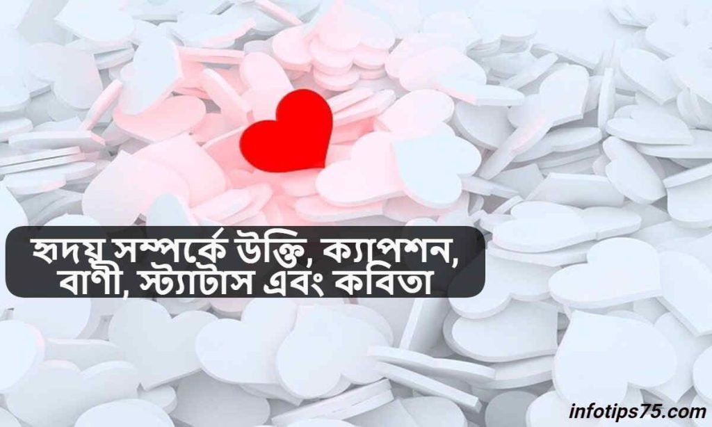 হৃদয় সম্পর্কে উক্তি