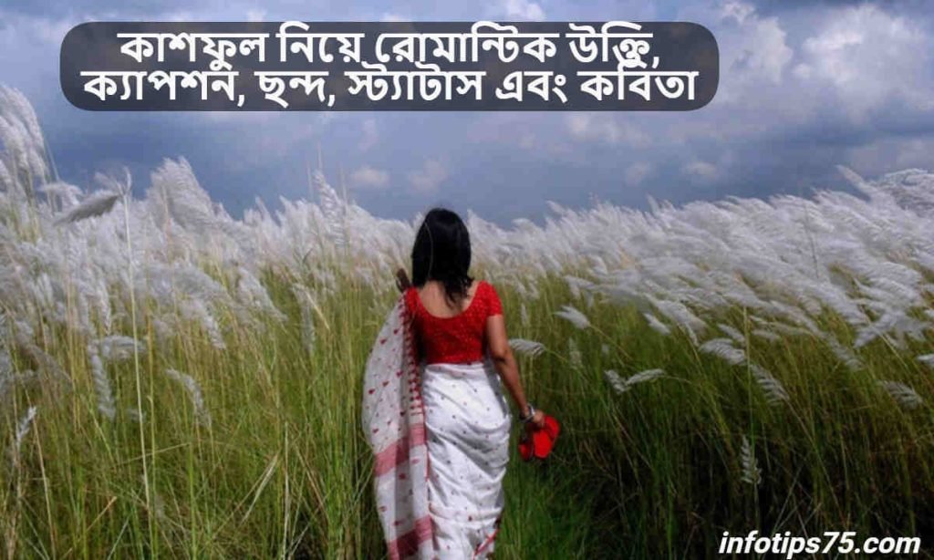 কাশফুল নিয়ে রোমান্টিক উক্তি