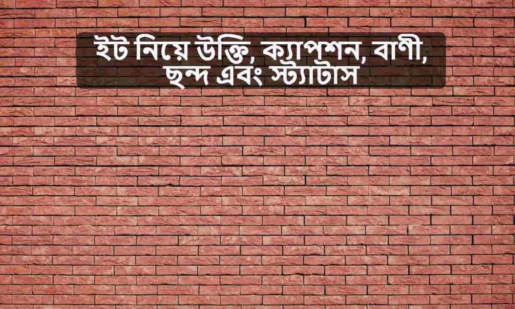ইট নিয়ে উক্তি