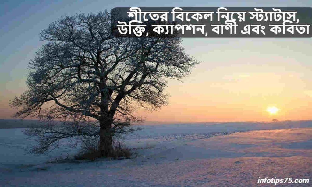 শীতের বিকেল নিয়ে স্ট্যাটাস