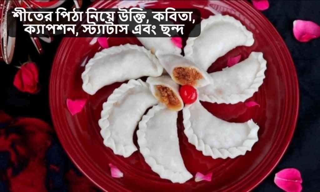 শীতের পিঠা নিয়ে উক্তি