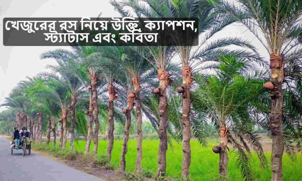 খেজুরের রস নিয়ে উক্তি