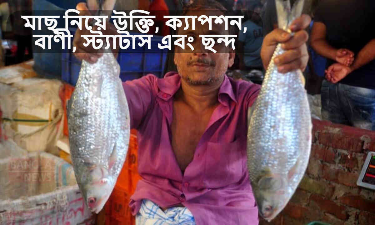 মাছ নিয়ে উক্তি