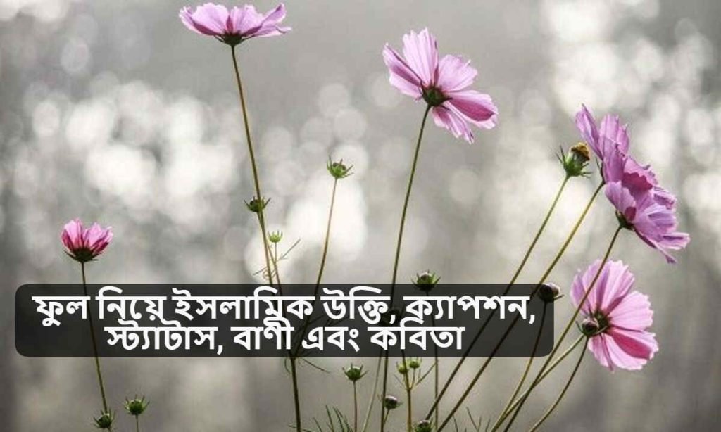 ফুল নিয়ে ইসলামিক উক্তি